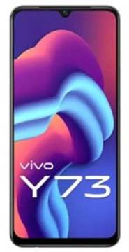 VivoY73-b.jpg