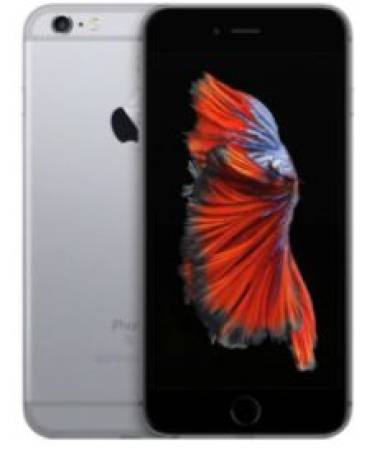 Screenshot Capture - 2024-08-26 - 14-47-16